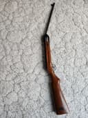 Photo of pellet Pioneer