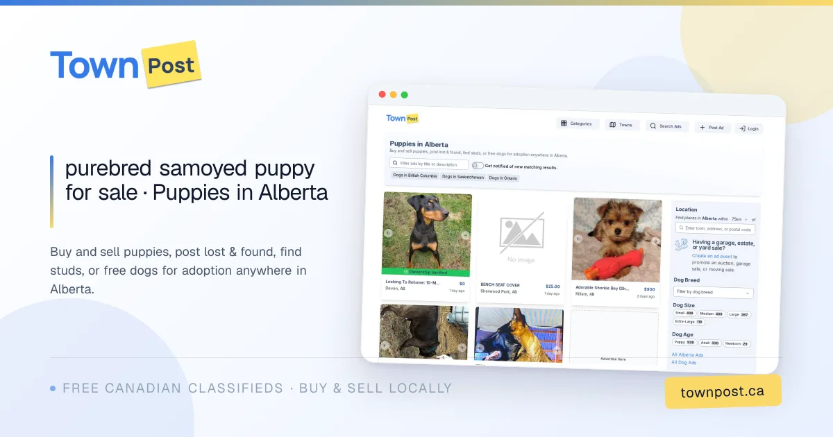 great pyrenees puppies · Puppies in Alberta · TownPost